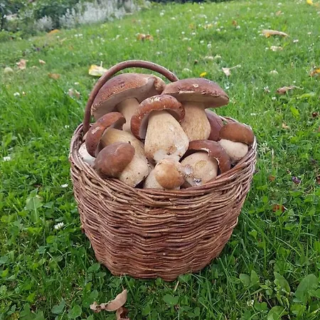 Hldocin, Uhliska, Ostrazica, Zmrazov ロッジ Nižná